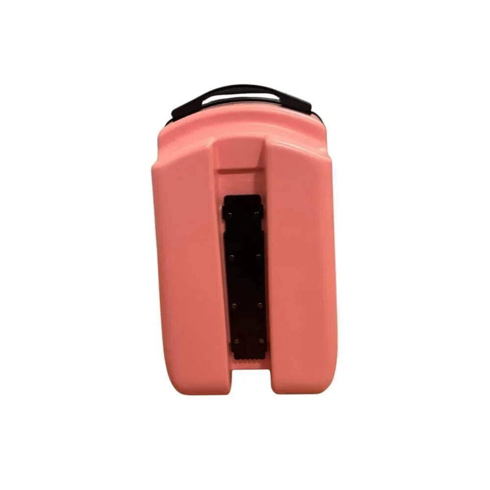 iubest Luggage Carry On Scooter Suitcase for Kids Age 4-15 LUGGAGE ONLY pink